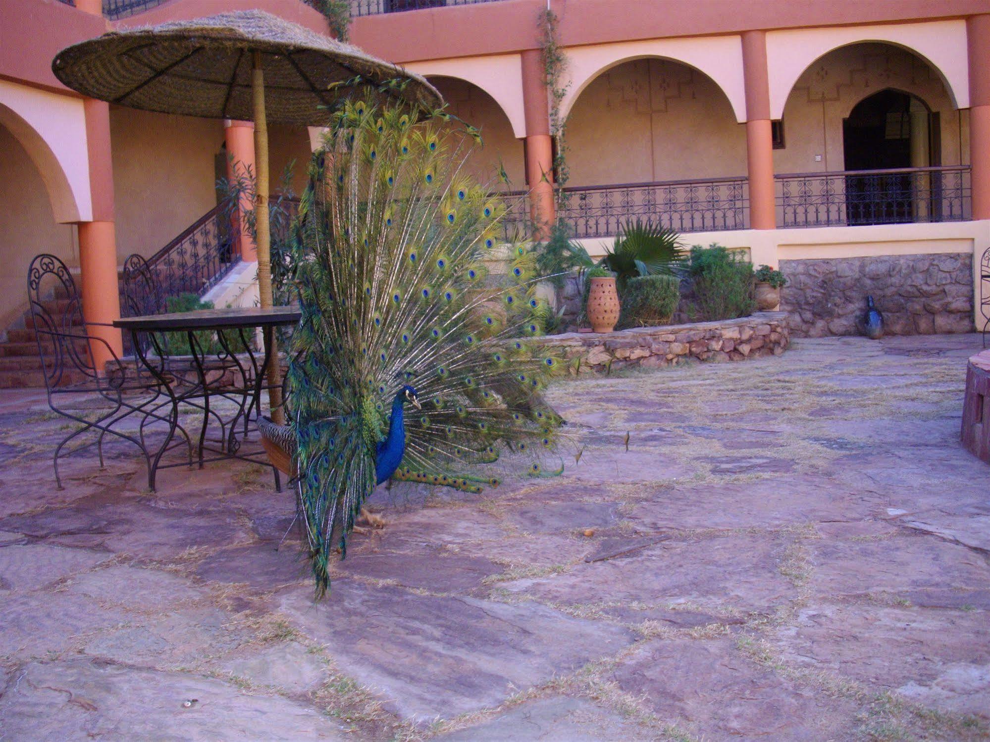 Kasbah Zitoune Tajda Zewnętrze zdjęcie